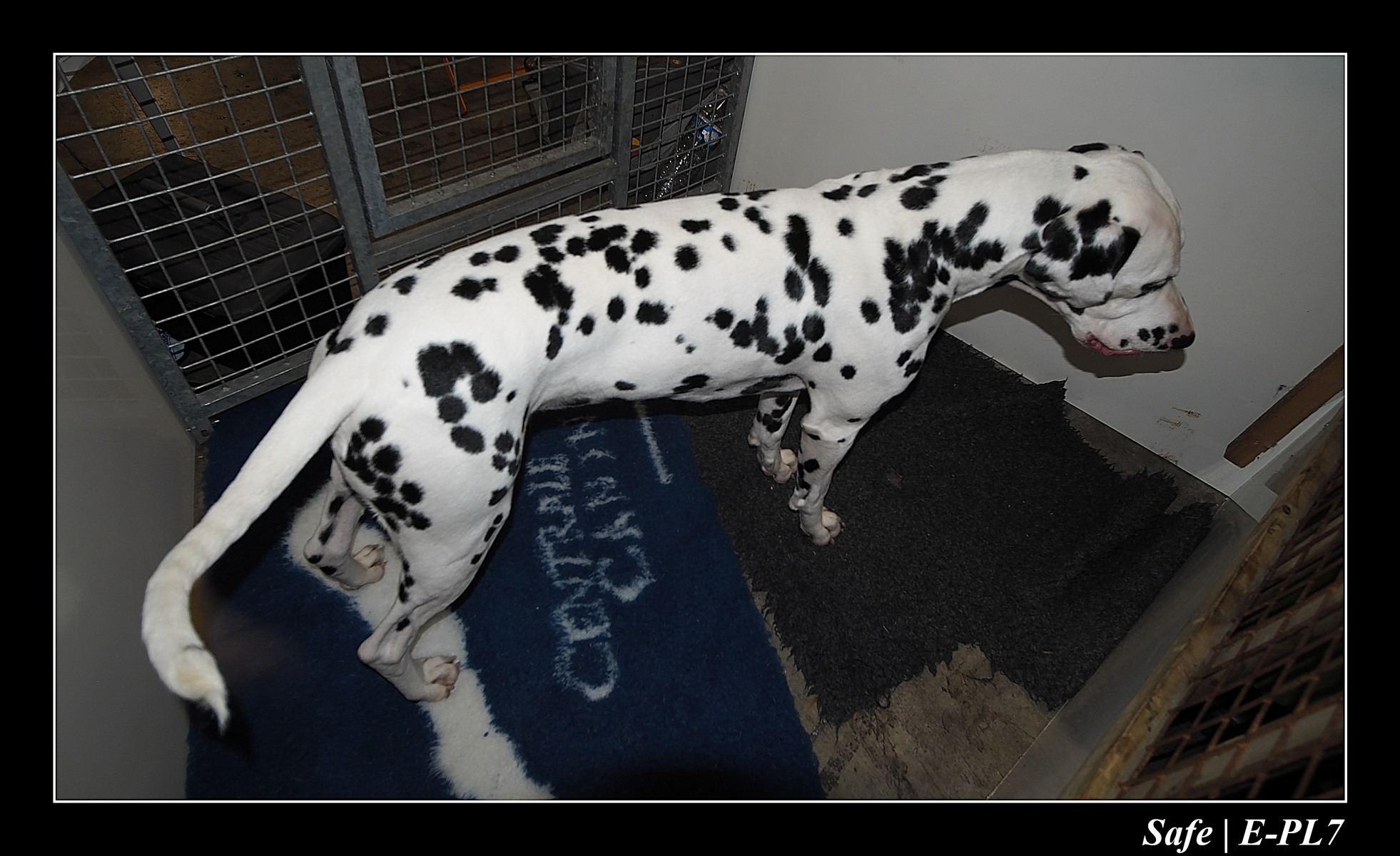 2020 - 02 - Salon agriculture 22